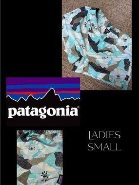 Patagonia Barley Baggies 2.5